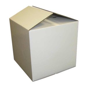 ICECUBE 50 Litres