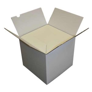 ICECUBE 50 Litres